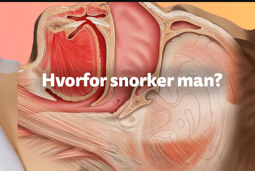Hvorfor snorker man?